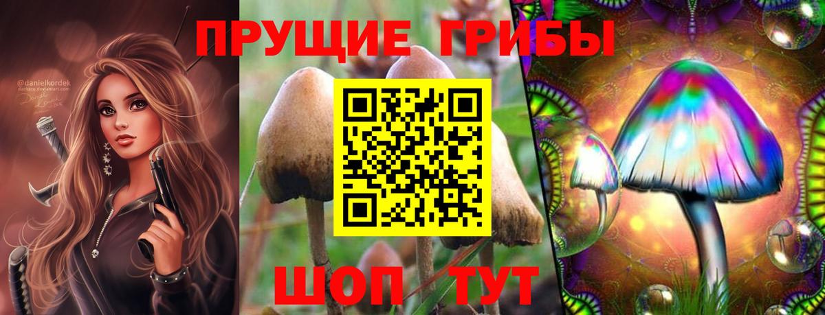 Волжск  Галлюциногенные грибы мицелий  Галлюциногенные грибы GOLDEN TEACHER  Вход с VPN 